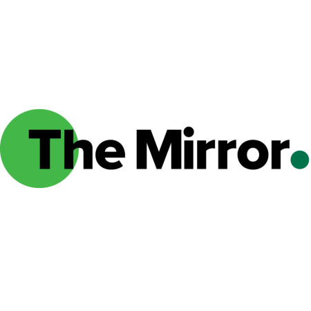 MIRROR LOGO